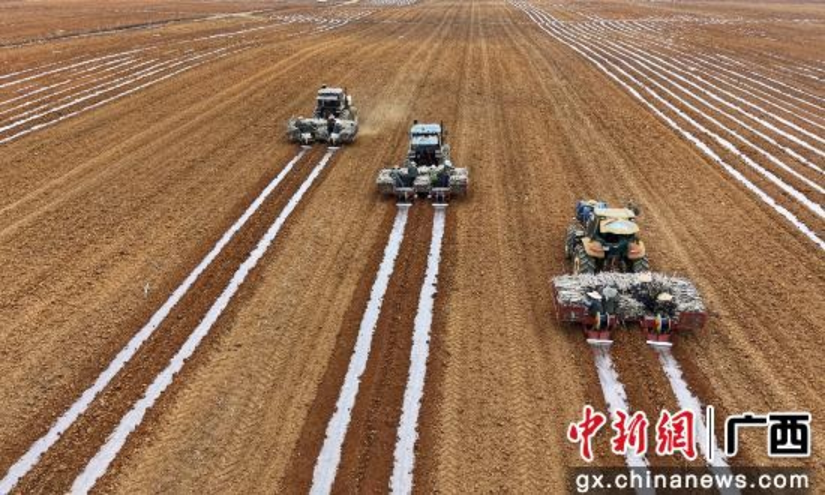 南宫NG28-良田良种良机良策协同 筑牢“中国糖都”崇左产业根基