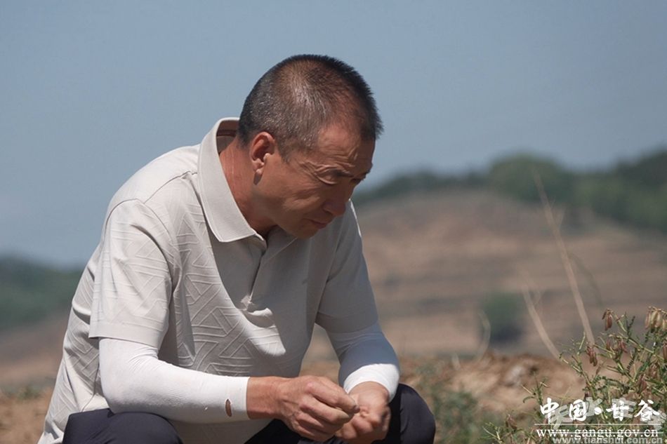 南宫NG28-甘谷县大石镇：田间管护热火朝天药材产业“钱”景可期(图)